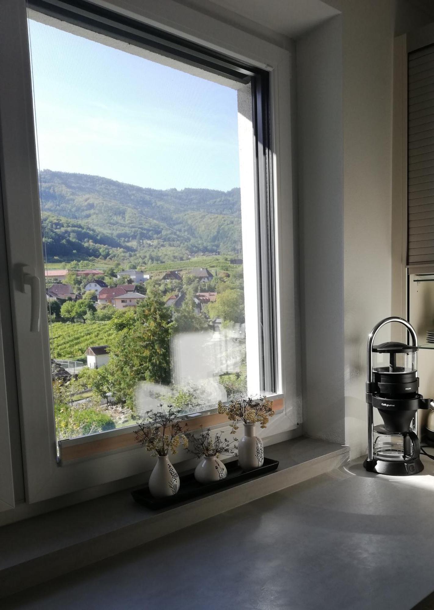 Ferienhaus Johanna Spitz an der Donau Exteriér fotografie